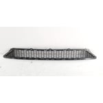 صورة Grille Bumper