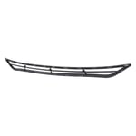 صورة Grille Bumper