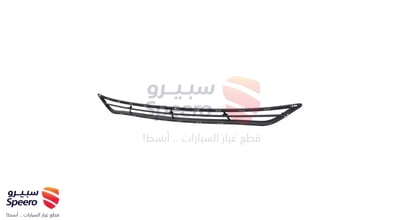 شبك صدام