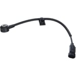 صورة حساس مكينة