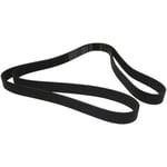 صورة Engine Belt