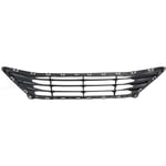 صورة Grille Bumper