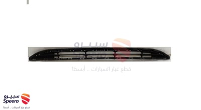شبك صدام