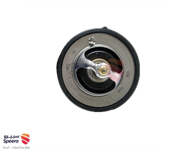 THERMOSTAT ASSY - 2550025001