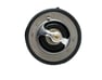 THERMOSTAT ASSY - 2550025001