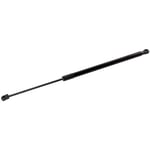 صورة Left Trunk Strut