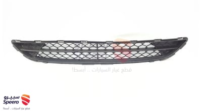 شبك صدام