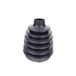 صورة جلد عكس أمامي داخلي و خارجي