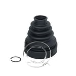 صورة جلدة عكس امامي داخلي