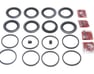 Brake Caliper Repair - 0447960080