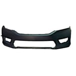 صورة صدام امامي