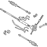 صورة دودة دركسون تحت