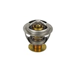 صورة Thermostat Valve