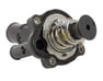 Thermostat Valve - 0RT1233