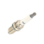 صورة PLUG ASSY-SPARK