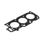 صورة وجه راس مكينة