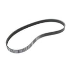 Ribbed V-Belt 11287618848