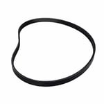 صورة سير دينمو