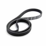 صورة Ribbed V-Belt