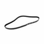 Dynamo Belt 11288646475