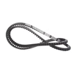 صورة Engine Belt