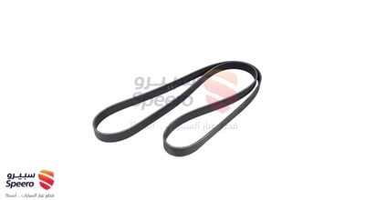 Fan & Alternator Belt