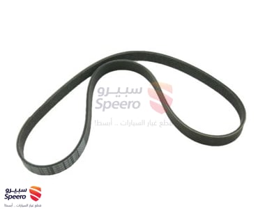 117204P10A - 117204P10A