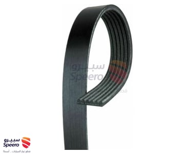 117204P10A - 117204P10A