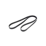 Dynamo Belt 117204GD0B