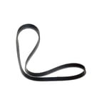 صورة Fan & Alternator Belt