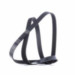 سير دينمو 117205X00A