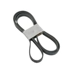 صورة Serpentine Belt