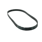 صورة Dynamo Belt