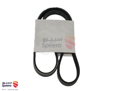 119508J100 - 119508J100