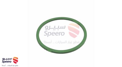 ربلة طرمبة بنزين