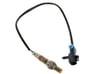 HEATED OXYGEN SENSOR - 12616502