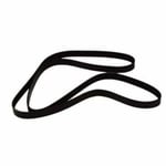 سير دينمو 12626076