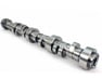 Camshaft - 12689035