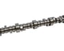 Camshaft - 12689035