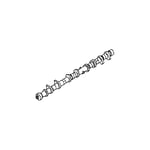 صورة عمود تايمن