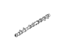Camshaft Assy - 130206N600