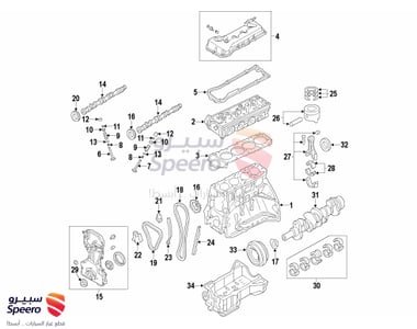 عمود تايمن - 130206N600