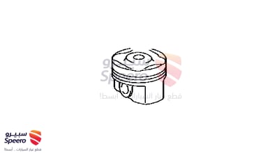 Piston