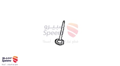 جلدة عكس امامي داخلي