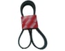 Timing Belt - 1356809041