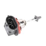 صورة لمبة كشاف