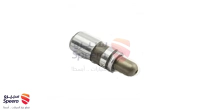 Valve Lifters Set