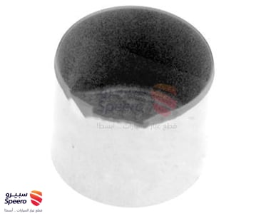 جلد بلوف - 1375150031