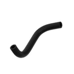 صورة Center Radiator Hose