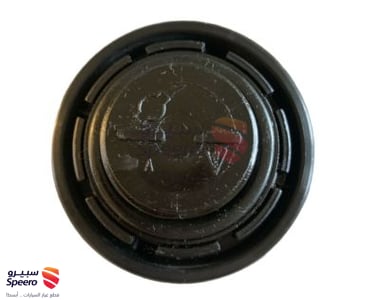 152551P103 - 152551P103